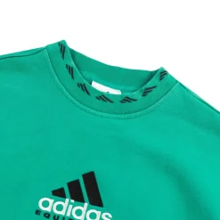 Crewnecks*Adidas EQT Washed Crew Equipment Green