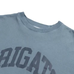 T-Shirts*Axel Arigato Link Washed T-Shirt Denim Blue