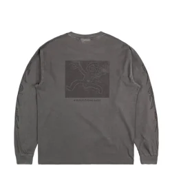 T-Shirts*Carhartt WIP L/S Terrestrial T-Shirt Black / Graphite