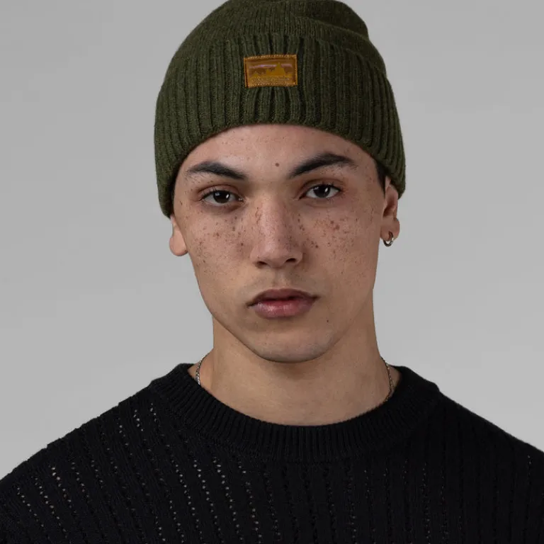 Beanies*Patagonia Brodeo Beanie 73 Skyline, Pine Needle Green