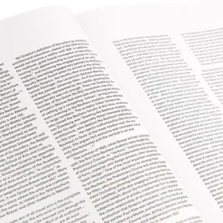 Bücher & Magazine*Phaidon Breuer Multi