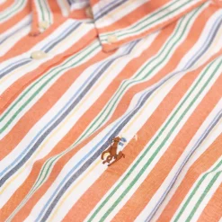 Hemden*Polo Ralph Lauren Custom Fit Striped Oxford Shirt Orange / White Multi