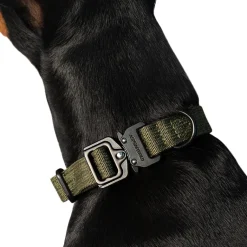Hundezubehör*Trekk by Asphaltgold Trekk Dog Collar Midnight Purple