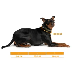 Hundezubehör*Trekk by Asphaltgold Trekk Dog Collar Olive / Black