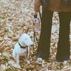 Hundezubehör*Trekk by Asphaltgold Trekk Dog Leash Black / Black